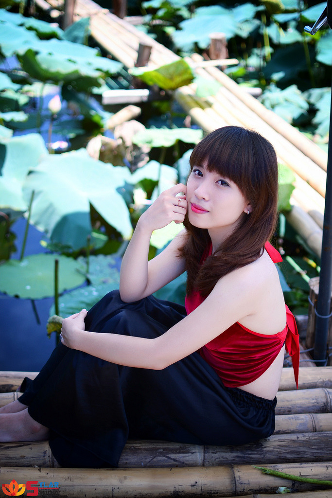 绝望的主妇第四季高清免费观看